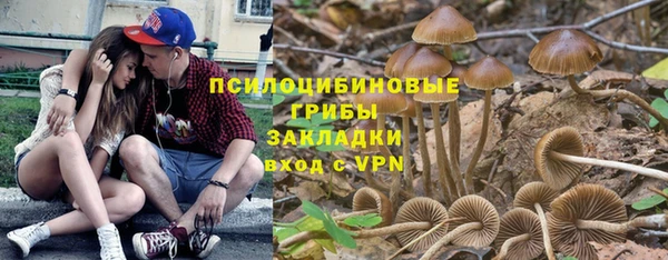 эйфоретик Алзамай