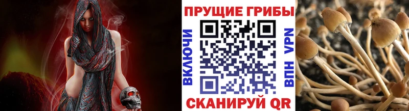 Псилоцибиновые грибы MAGIC MUSHROOMS Красноуральск